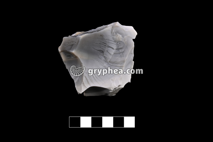 Silex - échantillon - gryphea.org